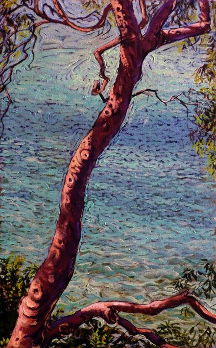 Clifton Gardens Tree