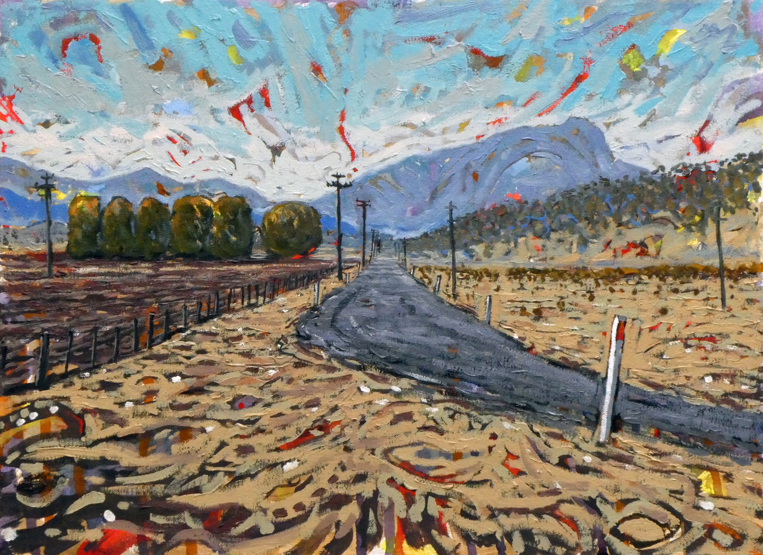 Cotton Country, 50cm x 35cm, oil on canvas, 2018, $750AUD