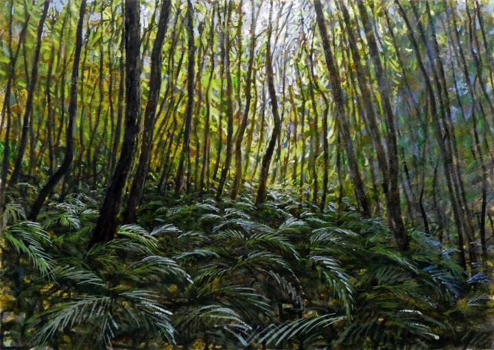 Megalong Forest 3 Reduc3ed