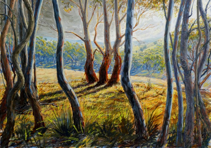 ReducedSundance final