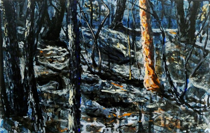 Behind Neil's Place reduced