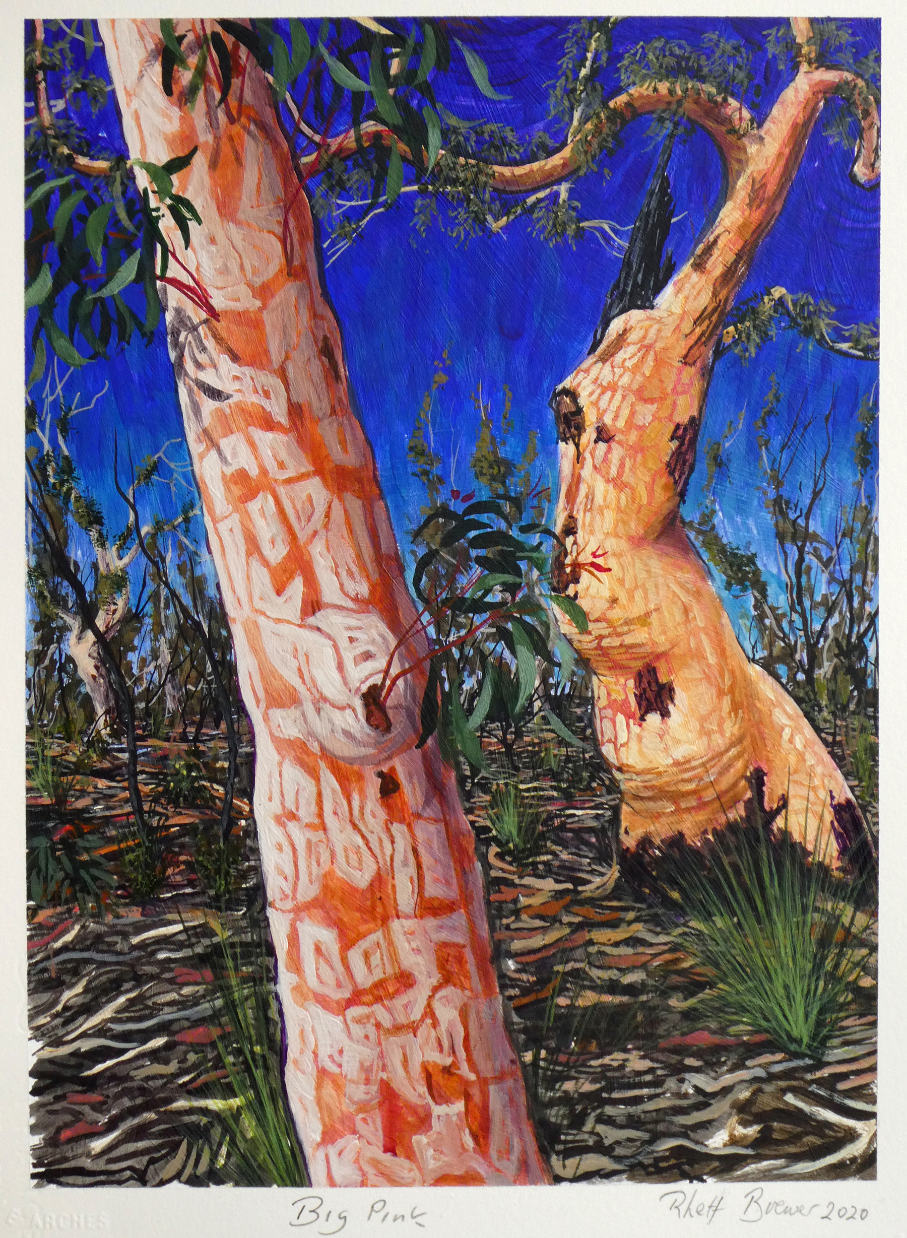 Big Pink,  39cm x 28cm, acrylic on 640 g.s.m. watercolour paper, 2020