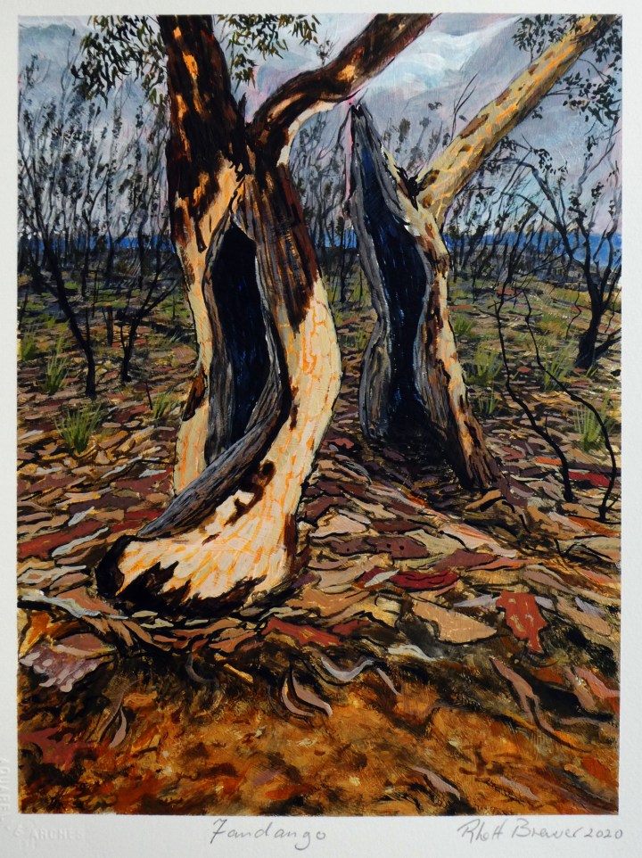 Fandango, 39cm x 28cm, acrylic on 640 g.s.m. watercolour paper, 2020